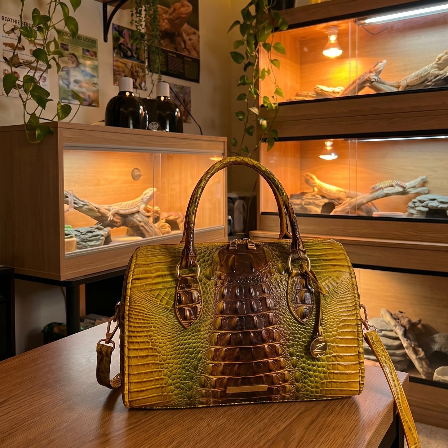 Croc Bag