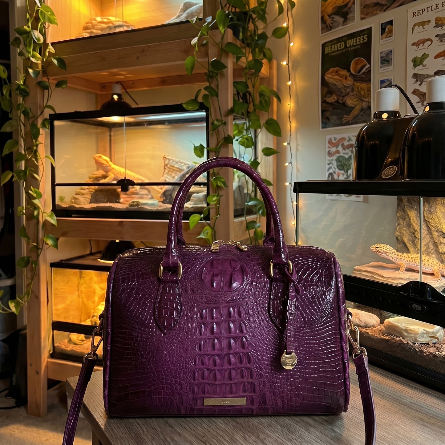 Croc Bag
